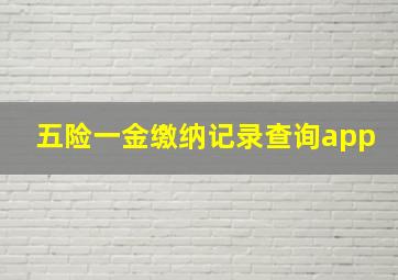 五险一金缴纳记录查询app