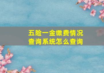 五险一金缴费情况查询系统怎么查询