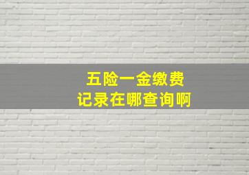 五险一金缴费记录在哪查询啊