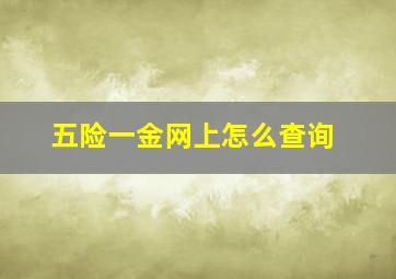 五险一金网上怎么查询