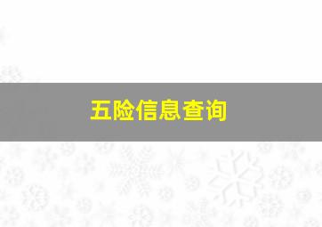 五险信息查询