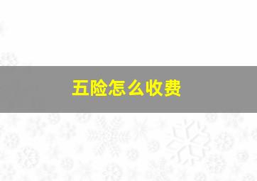 五险怎么收费