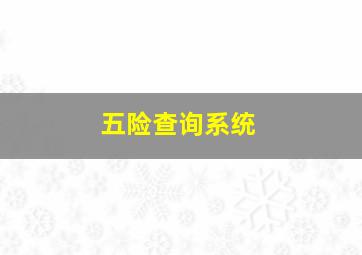 五险查询系统