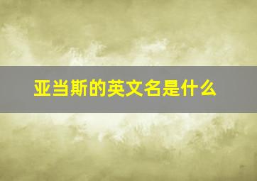 亚当斯的英文名是什么