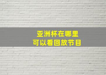 亚洲杯在哪里可以看回放节目