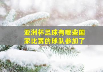 亚洲杯足球有哪些国家比赛的球队参加了