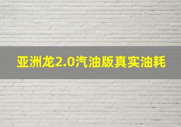 亚洲龙2.0汽油版真实油耗