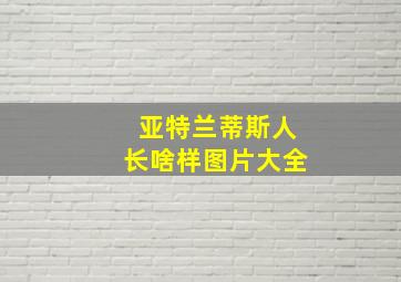 亚特兰蒂斯人长啥样图片大全