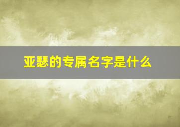 亚瑟的专属名字是什么