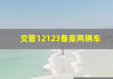 交管12123备案两辆车