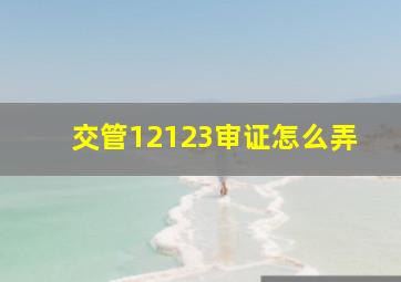 交管12123审证怎么弄