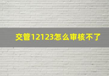 交管12123怎么审核不了