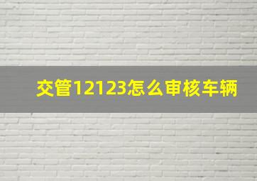 交管12123怎么审核车辆