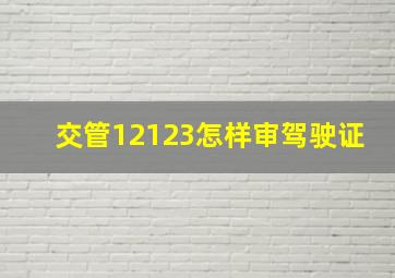 交管12123怎样审驾驶证