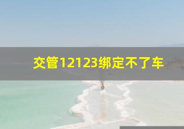 交管12123绑定不了车