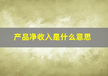 产品净收入是什么意思