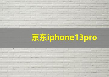 京东iphone13pro