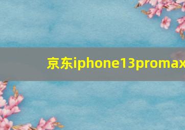 京东iphone13promax