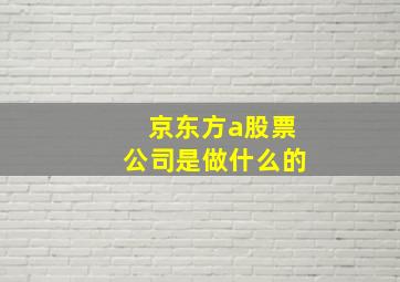 京东方a股票公司是做什么的