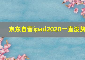 京东自营ipad2020一直没货