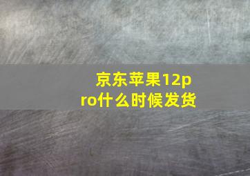 京东苹果12pro什么时候发货