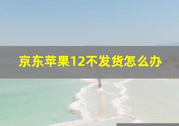 京东苹果12不发货怎么办