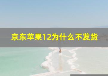 京东苹果12为什么不发货