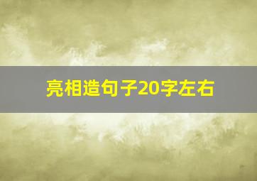 亮相造句子20字左右