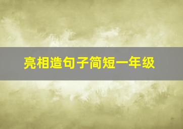 亮相造句子简短一年级