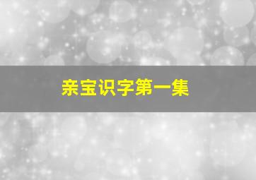 亲宝识字第一集