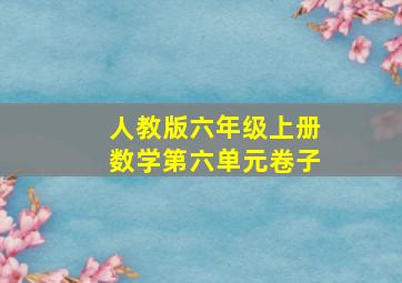 人教版六年级上册数学第六单元卷子