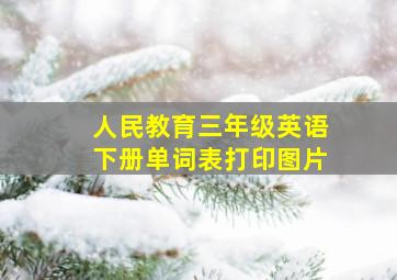 人民教育三年级英语下册单词表打印图片