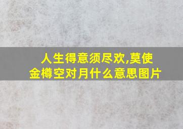 人生得意须尽欢,莫使金樽空对月什么意思图片