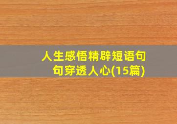 人生感悟精辟短语句句穿透人心(15篇)