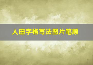 人田字格写法图片笔顺