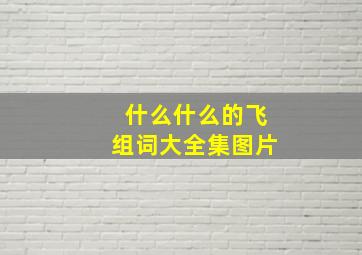 什么什么的飞组词大全集图片