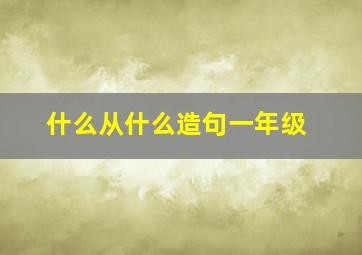 什么从什么造句一年级