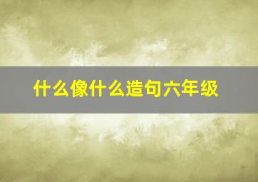 什么像什么造句六年级