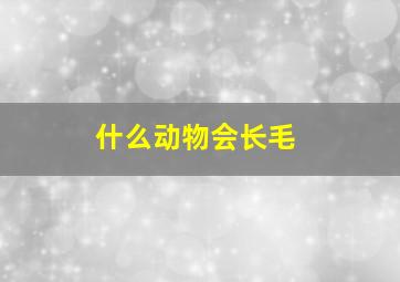 什么动物会长毛