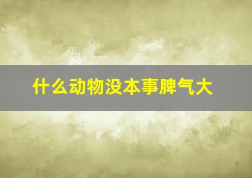 什么动物没本事脾气大