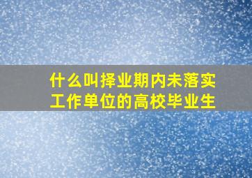 什么叫择业期内未落实工作单位的高校毕业生