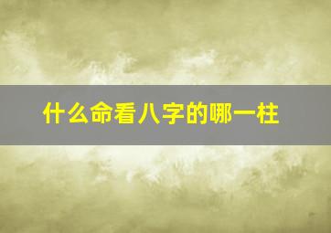 什么命看八字的哪一柱