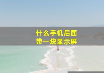 什么手机后面带一块显示屏