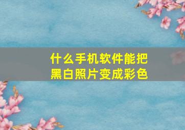 什么手机软件能把黑白照片变成彩色