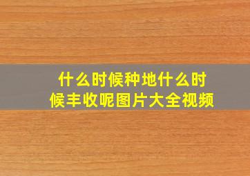 什么时候种地什么时候丰收呢图片大全视频