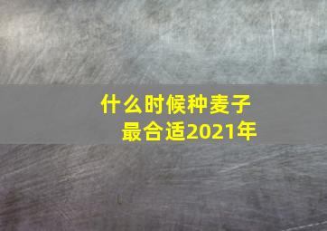 什么时候种麦子最合适2021年