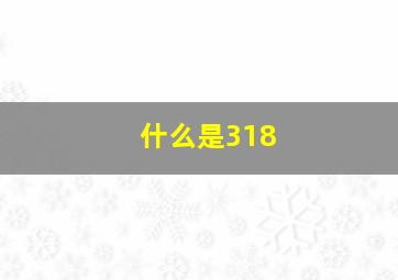 什么是318