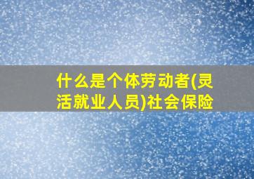 什么是个体劳动者(灵活就业人员)社会保险