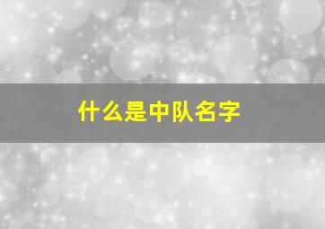 什么是中队名字