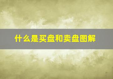 什么是买盘和卖盘图解